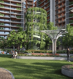 portfolio-image