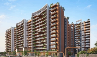 portfolio-image