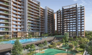 portfolio-image