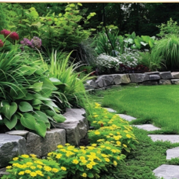 garden