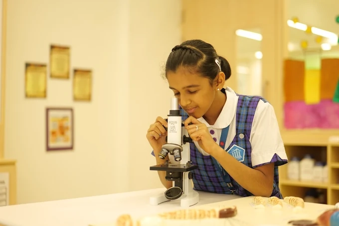 Global Classroom Excellence