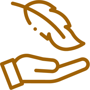 why-choose-us-icon