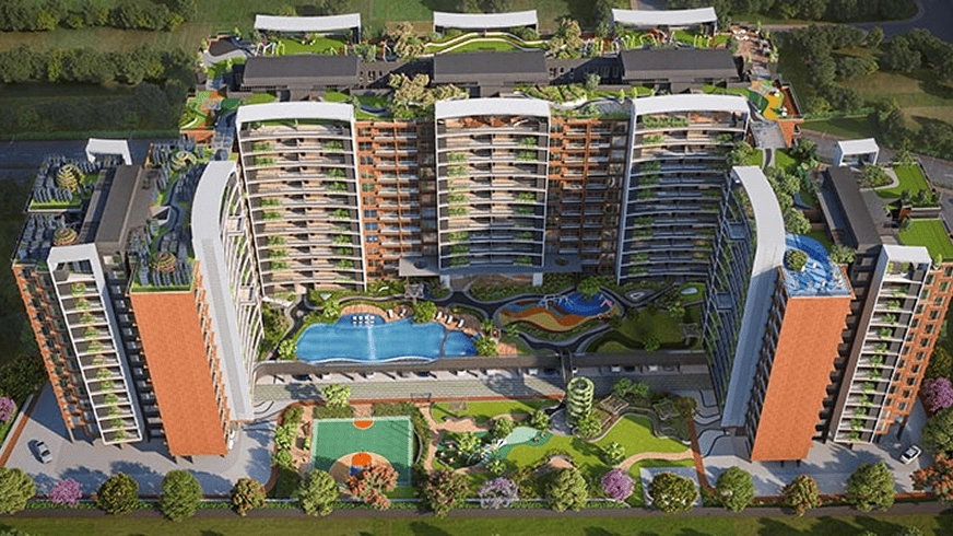 portfolio-image