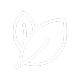 icon-img